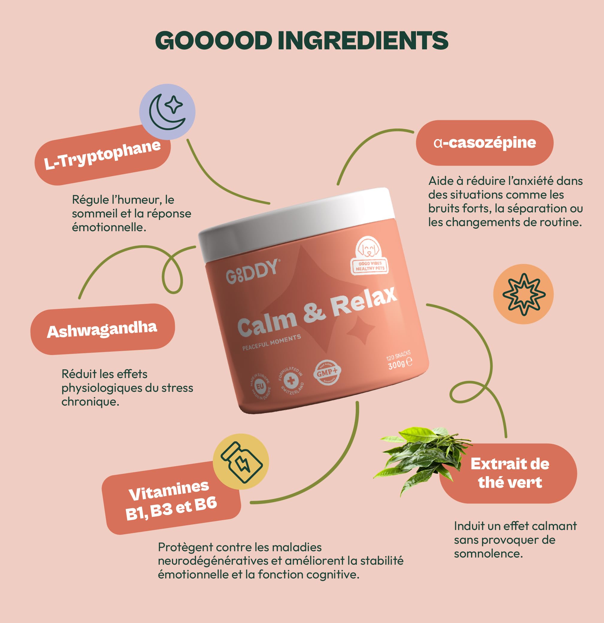 Anti Stress Chien Naturel 120 unités (300 g) – Friandises Calmantes avec L-Tryptophane, L-Théanine, Alpha-Casozépine & Ashwagandha – pour Anxiété, Séparation, Voyage et Feux d’Artifice