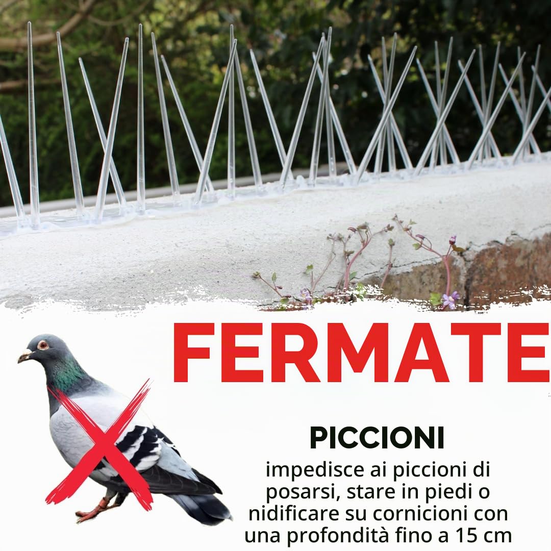 Defender Bird and Pigeon Spikes Dissuasori larghi a spillo in plastica antiuccelli e antipiccioni, Trasparente, 5 metri