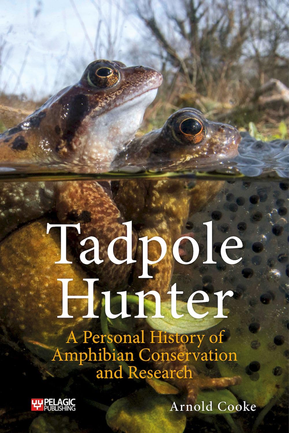 Tadpole Hunter by Arnold Cooke - 9781784274481