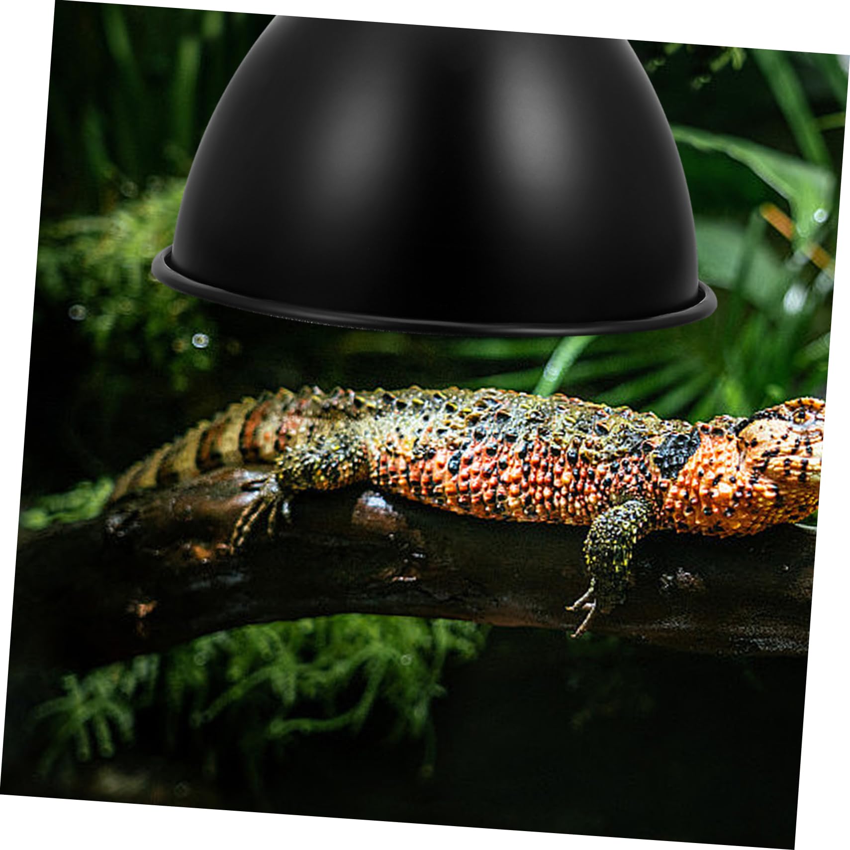 TOPBATHY Scatola Da 4 Pezzi Paralume per rettili lampada riscaldante per lucertola Lampada UVB lampada di calore per rettili paralume riscaldante rete per lampade per rettili ferro da stiro