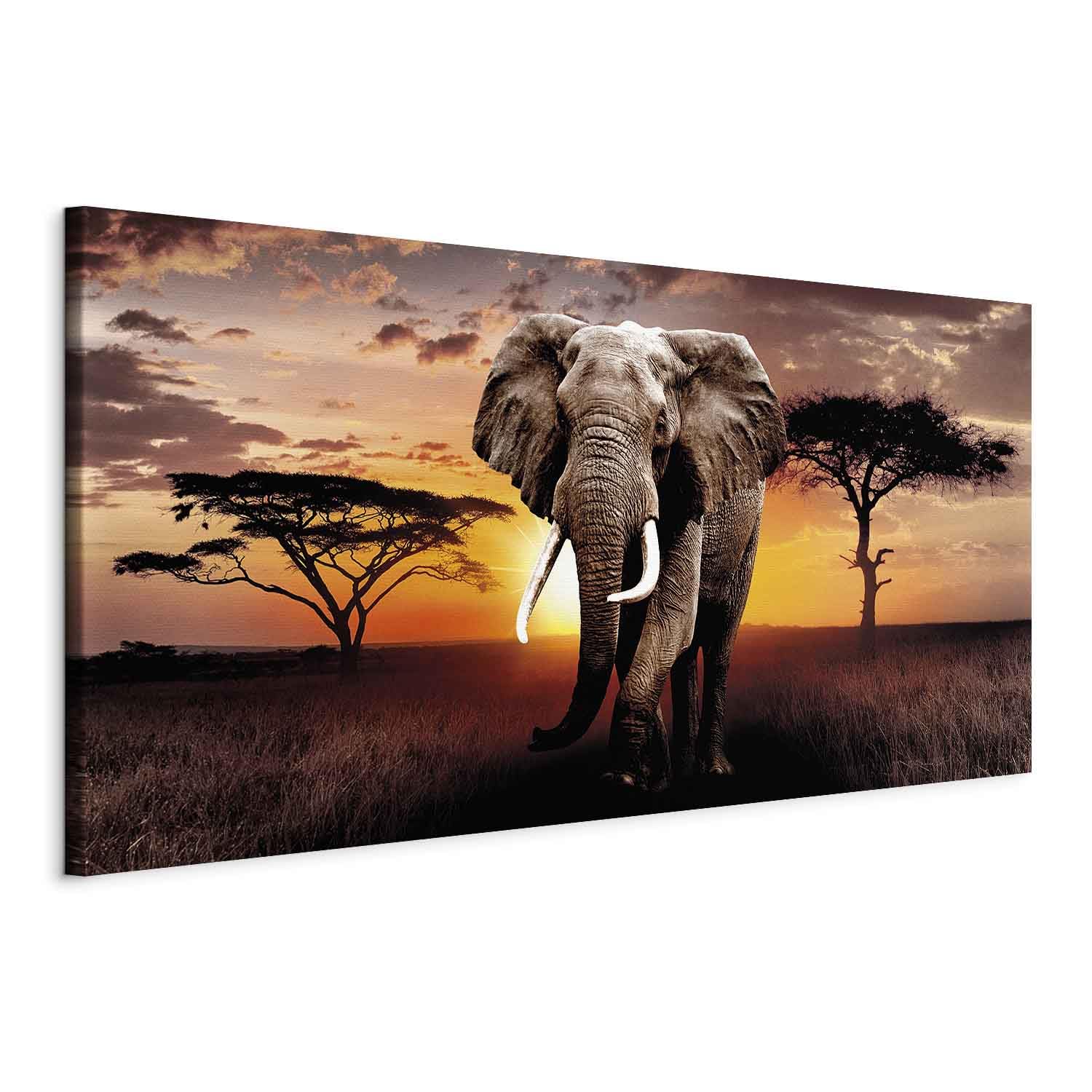 murando - Grand Tableau Mural Décoration Moderne Chambre, Animal, 160x80 cm