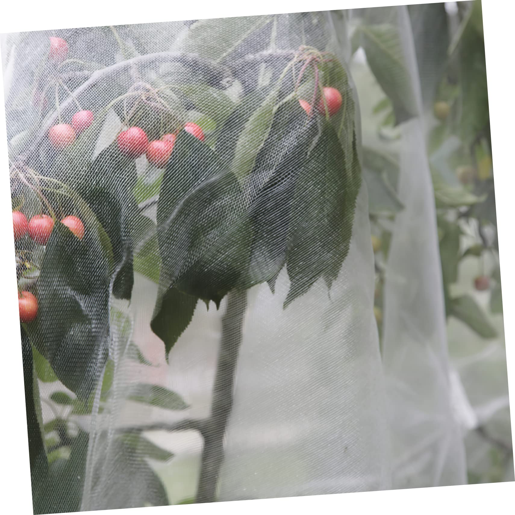 Happyyami Jardín Mosquitera Protectora para Plantas Malla para Insectos Protección para Huertos