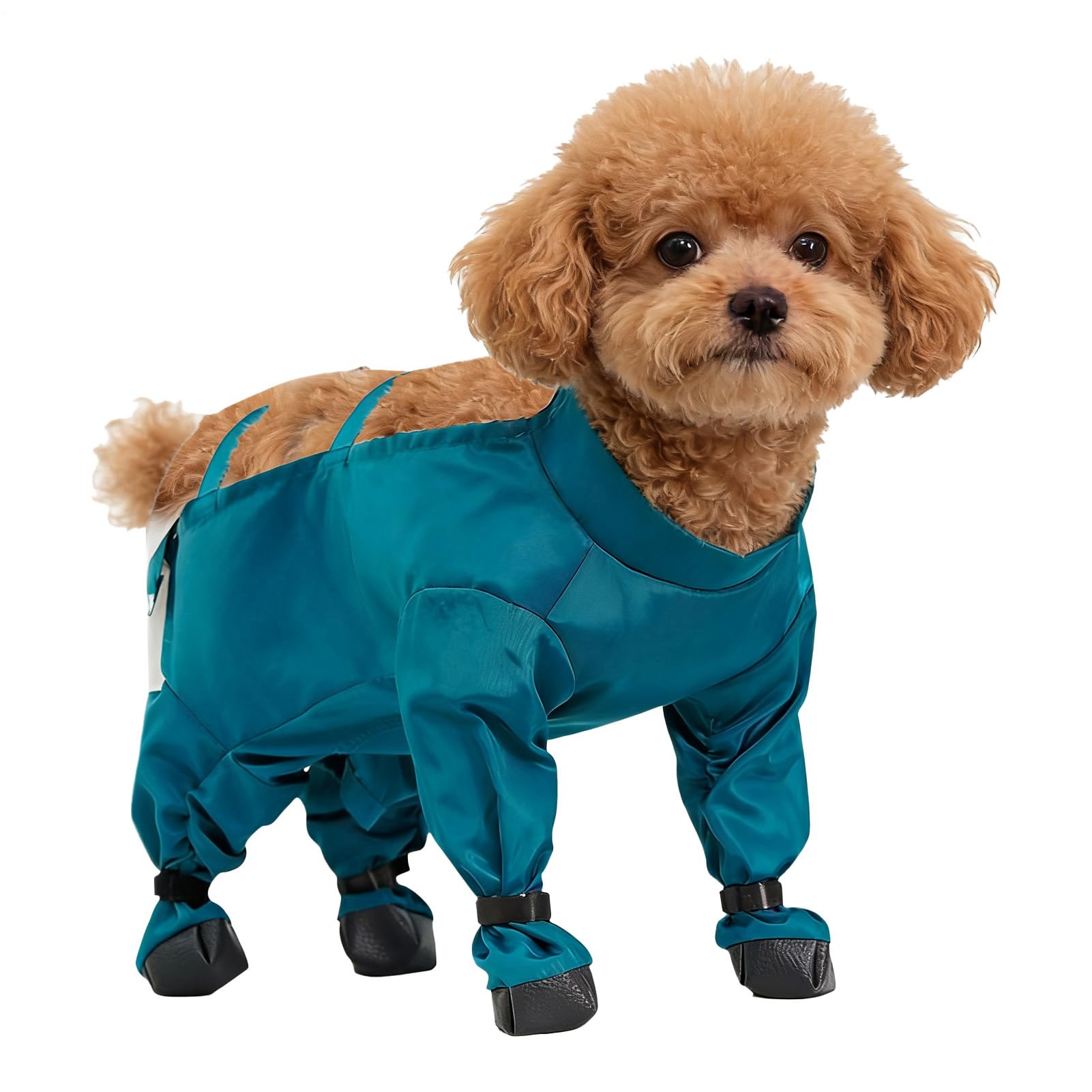 Dqsgiqe Dog Snowsuit with Boots, Waterproof Adjustable Braces Boots, Breathable and Warm Dog Snow Trousers, for Outdoor Camping, Hiking, Walks