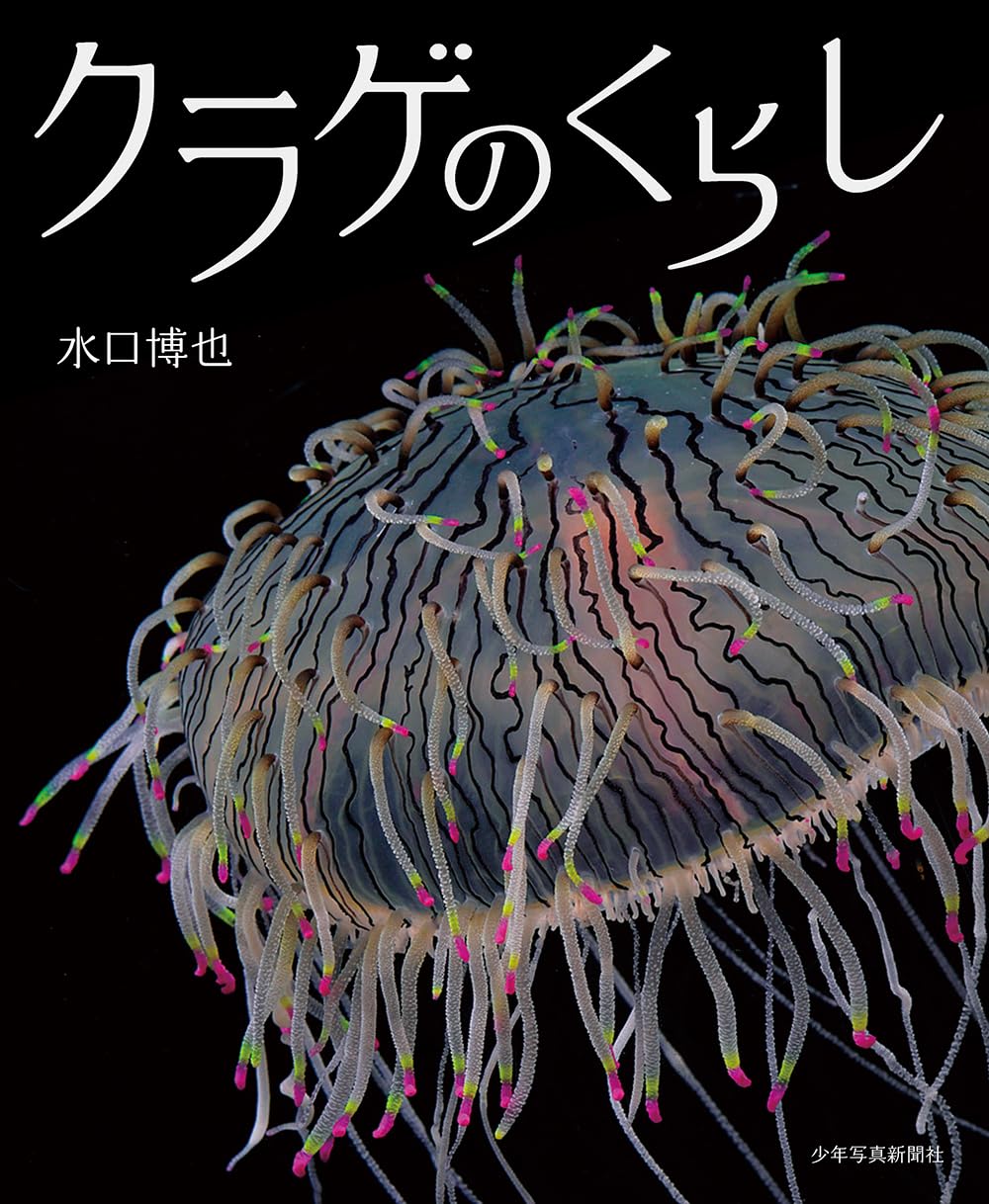 【原画のみ販売】クジラとクラゲ空の大冒険 謎だらけ 超クラゲ図鑑 (水族館へ行こう!) | 三宅 裕志, 月刊