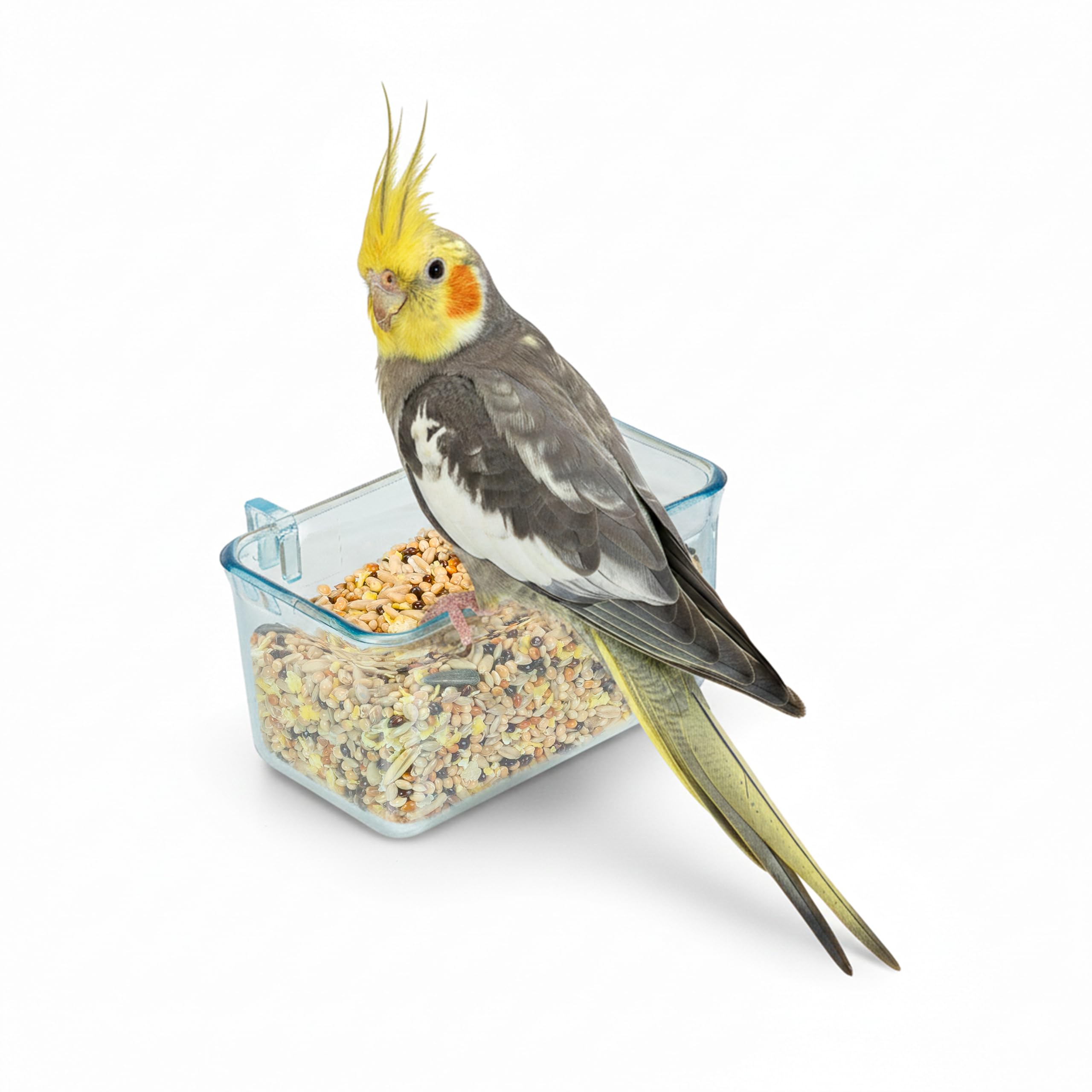 Ferplast Automatic Feeders