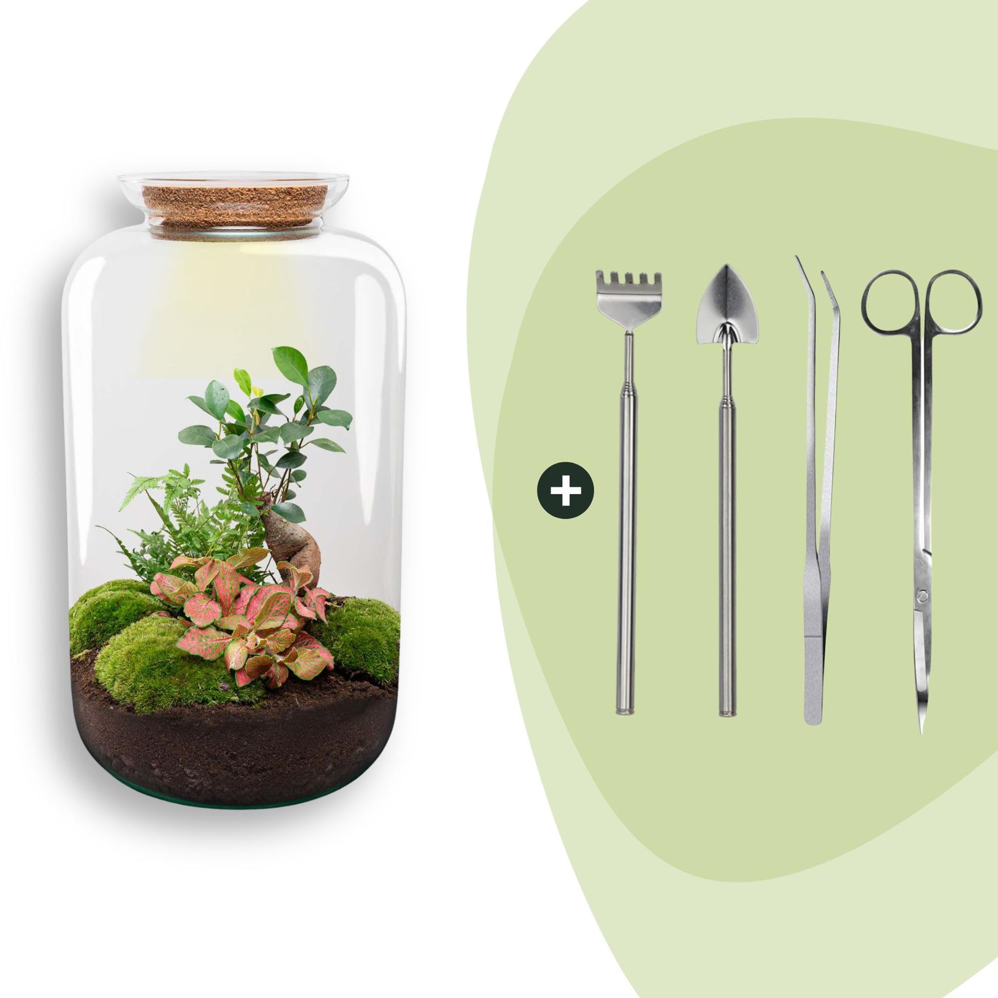 DIY Terrarium mit Glas und Kork, Deko für Büro, Grün, 43 cm Set mit Licht