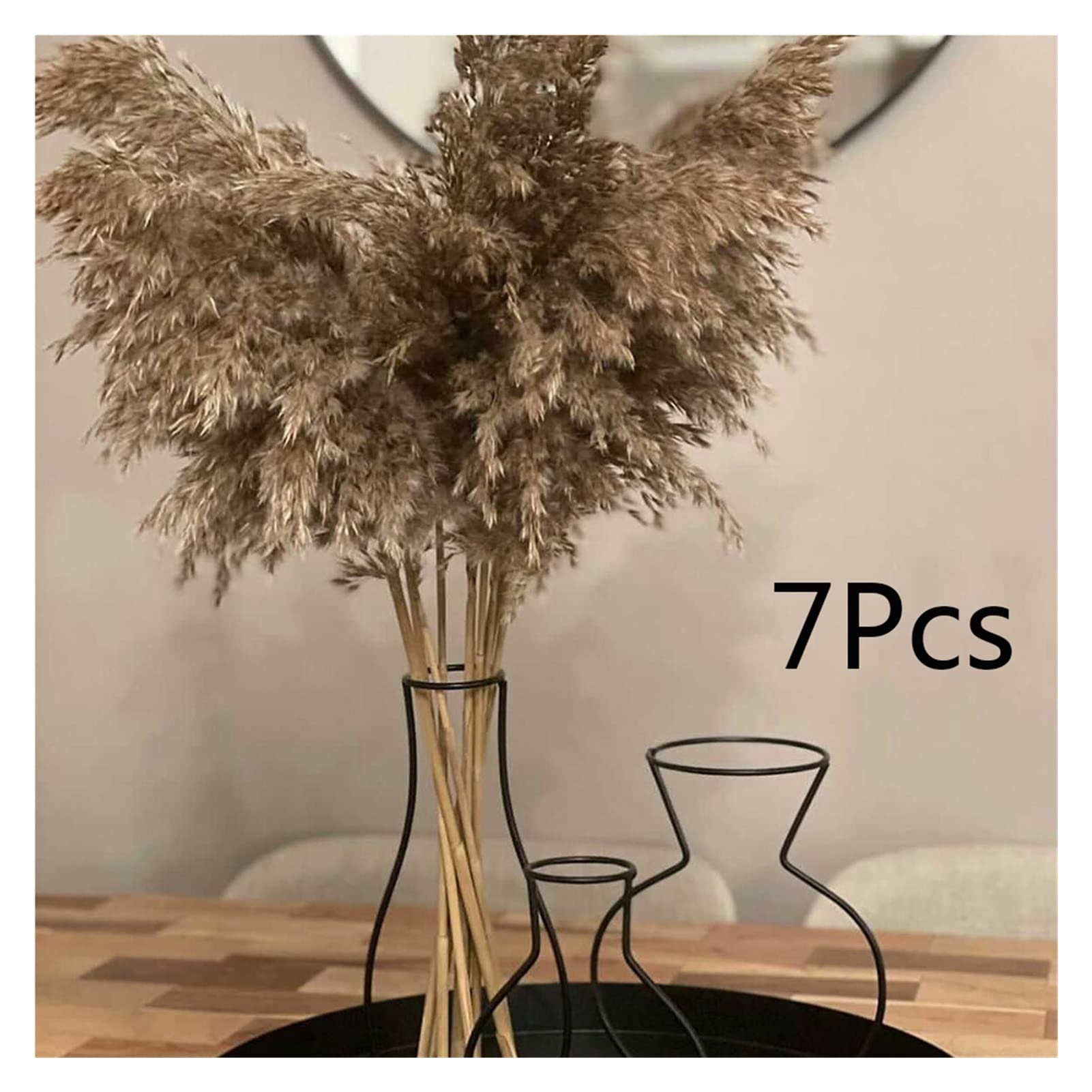 Amazon.co.jp: ZHANGTIAN 乾燥パンパスグラスふっくらした茶色の茶色の