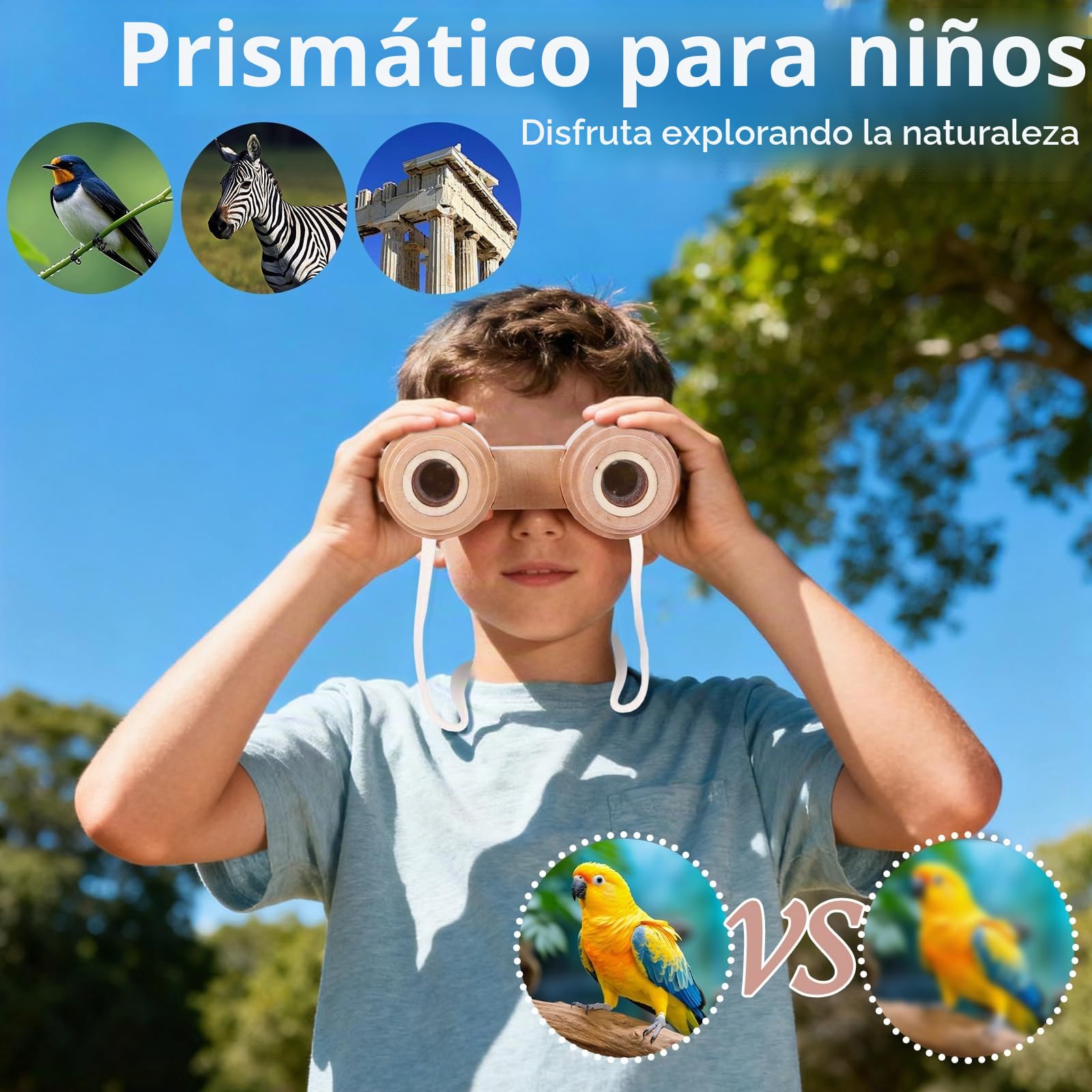 Astarama Kit Explorador Niños,5 Piezas Madera Atrapa Insectos con binoculares,casa de observación de Insectos,cazamariposas,brújula.Juguetes Educativos Regalos