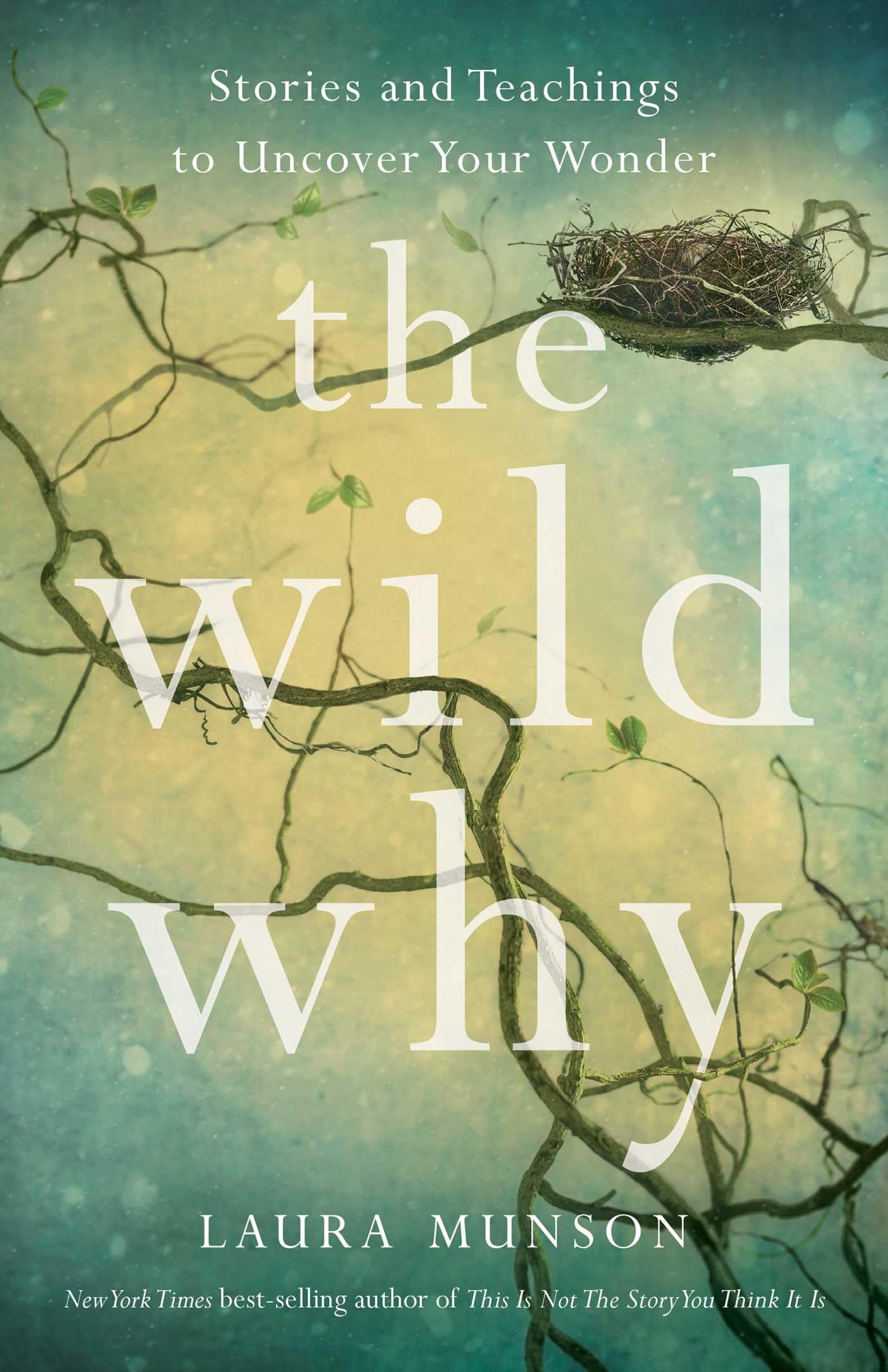 The Wild Why by Laura Munson PAPERBACK 9781647428389