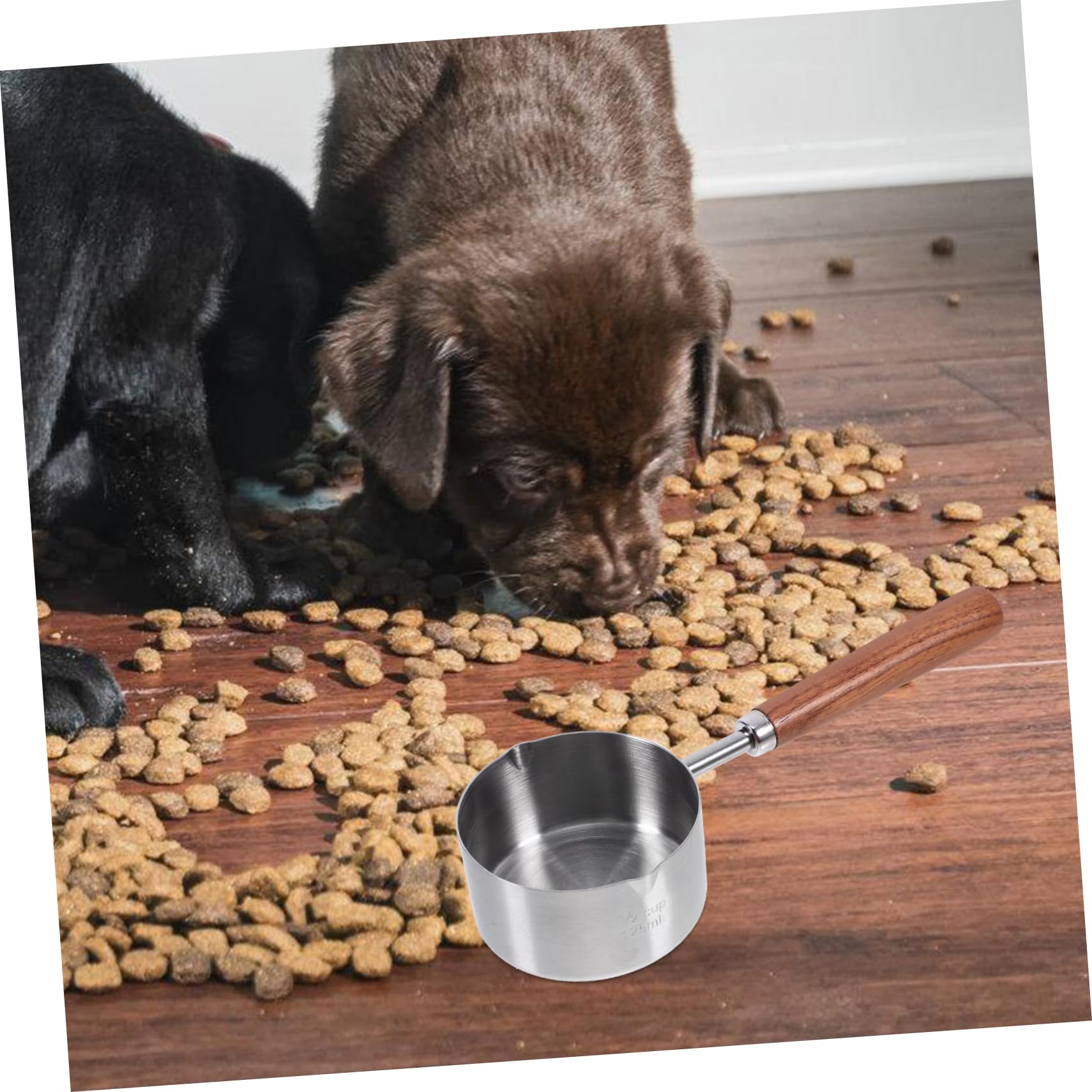 YARNOW 4 Pièces Cuillère À Nourriture Pour Tasse À Mesurer Cuillère À Nourriture Pour Chat À Pour Portable Outil De Mesure De La