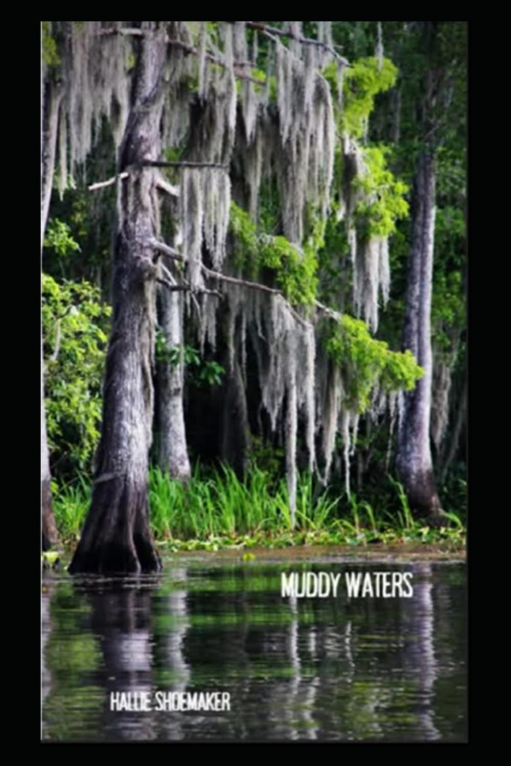 Muddy Waters