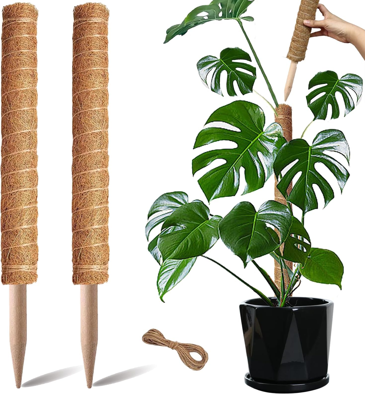 Moss Pole for Plants, 2 Pack 12" Moss Poles for Climbing Plants Monstera, Monstera