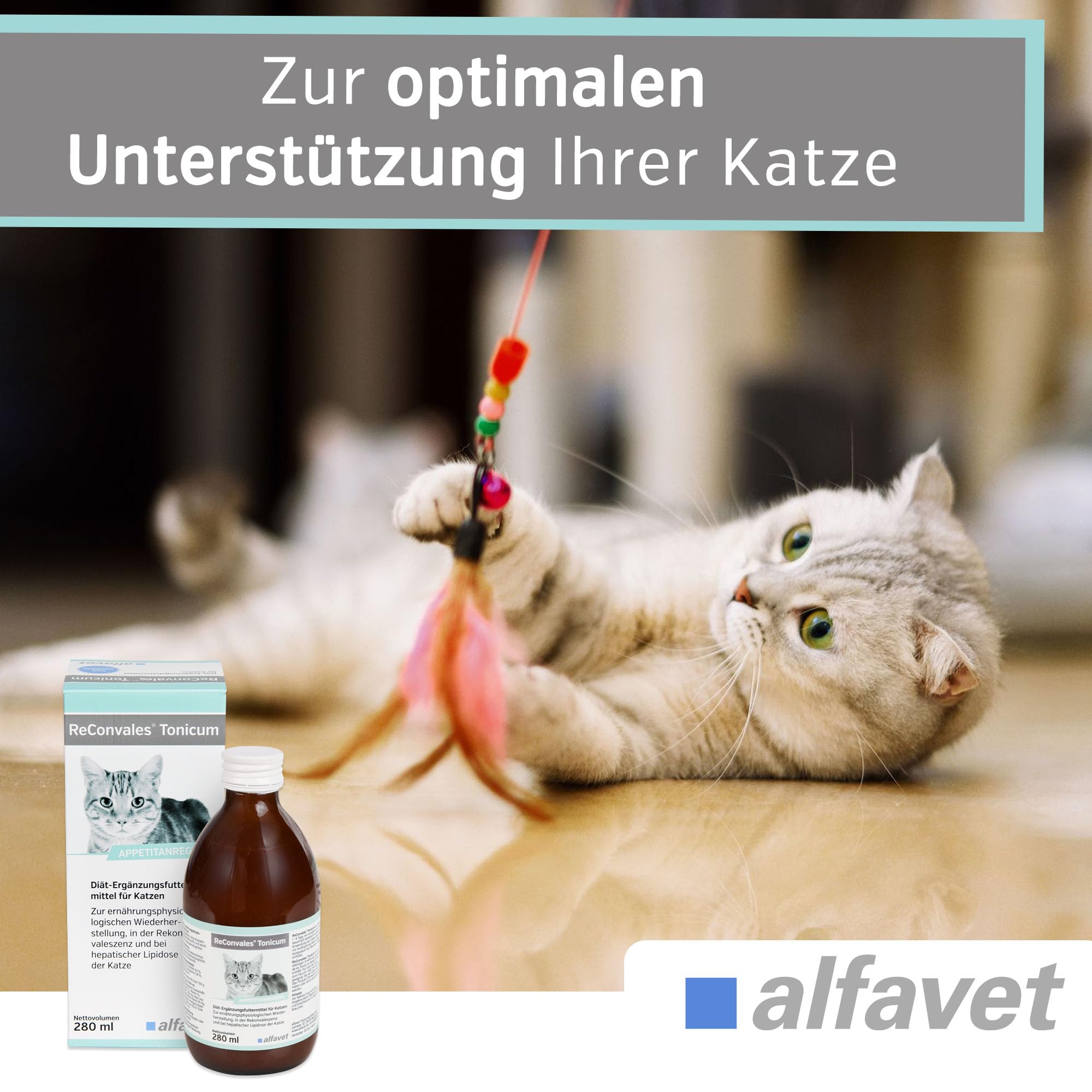 Alfavet ReConvales Tonicum para gatos | Pack de 3 | 3 x 280 ml | Complemento alimenticio dietético | Para la convalecencia, el bajo peso y la lipidosis hepática del gato