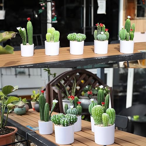 Miniatura 5 de Cactus artificial de flores artificiales, suculentas, planta suculenta falsa de 9.8 pulgadas para decoración de escritorio, hogar, oficina, 1 unidad
