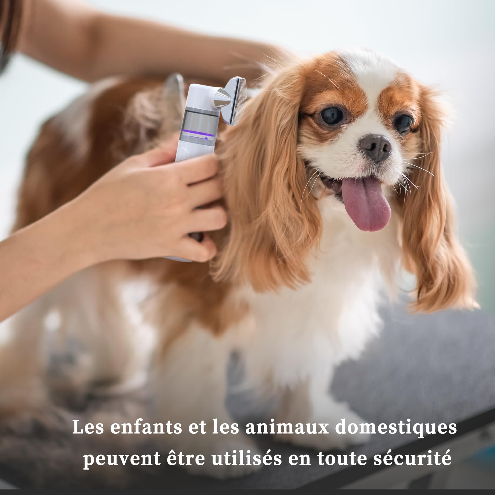 Ricarica Wireless Pettine Anti Pidocchi Elettrico,Portatile Aspirapolvere A Pidocchi,Filtro Riutilizzabile Pettine Anti Pidocchi Adatto A Bambini, Animali Domestici E Tutti I Tipi Di Capelli Prodotto