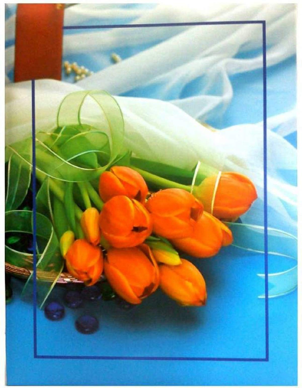 CSN - CUTE SHOPPING NETWORK Natraj Series Portable (Mini) Photo.Album with Extra Clear PVC Film 100 Photos (Photo Size Supported: 4x6 Inches, Multicolour)