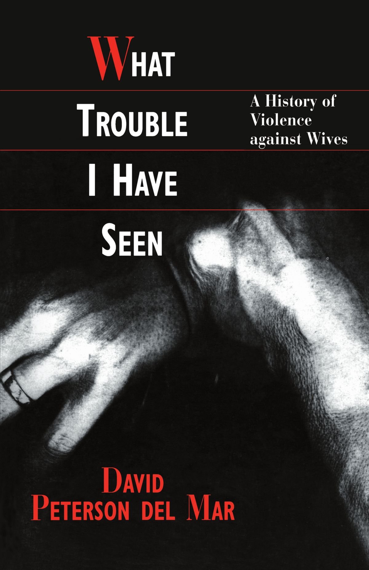What Trouble I Have Seen: A History of Violence against Wives