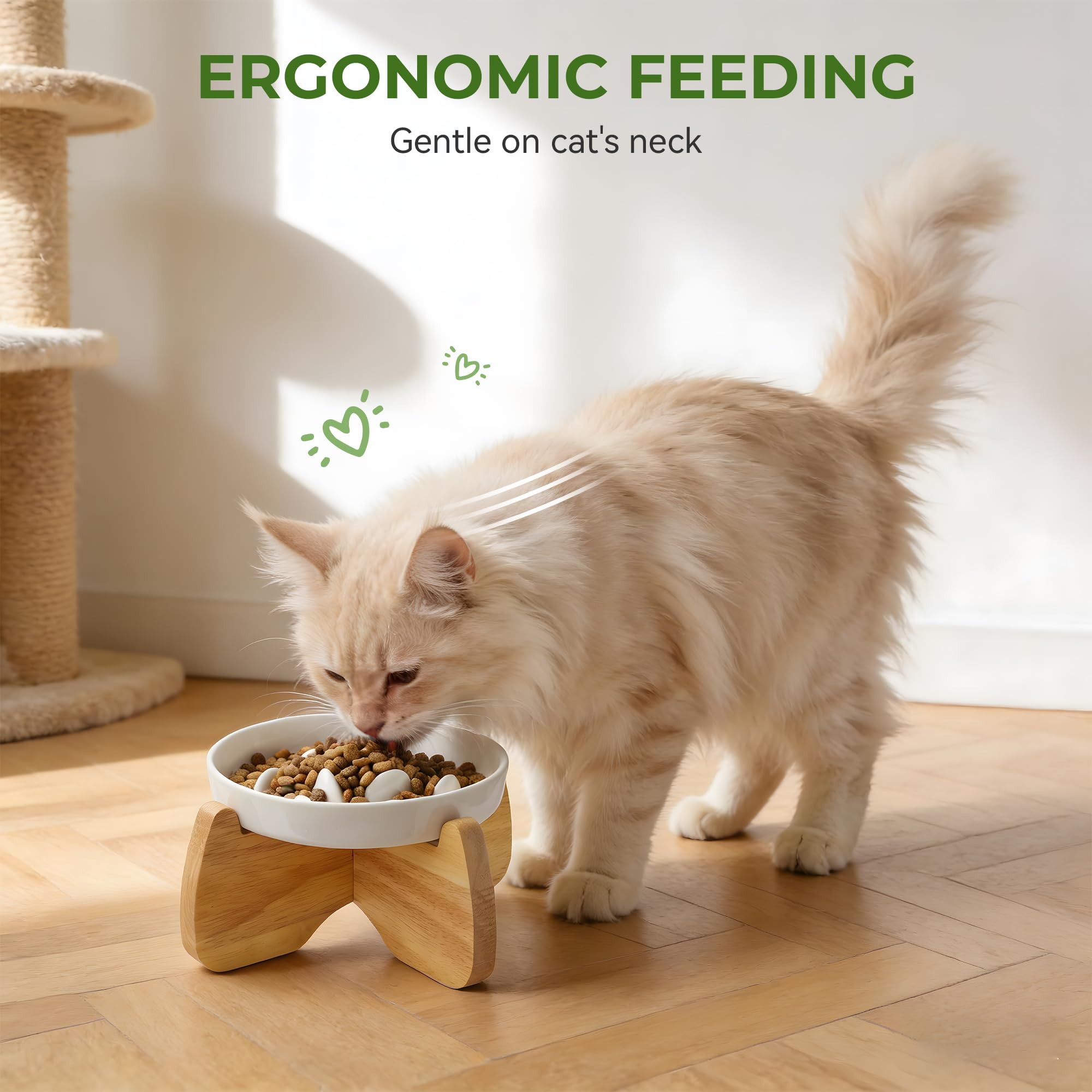 Gamelle Anti Glouton Chat Surélevée avec Support, 16 cm Large, Peu Profond Gamelle Anti-Glouton Chat Céramique pour Croquettes et Pâtée,Réduit Les Vomissements,Lavable au Lave-Vaisselle(2 Pack)
