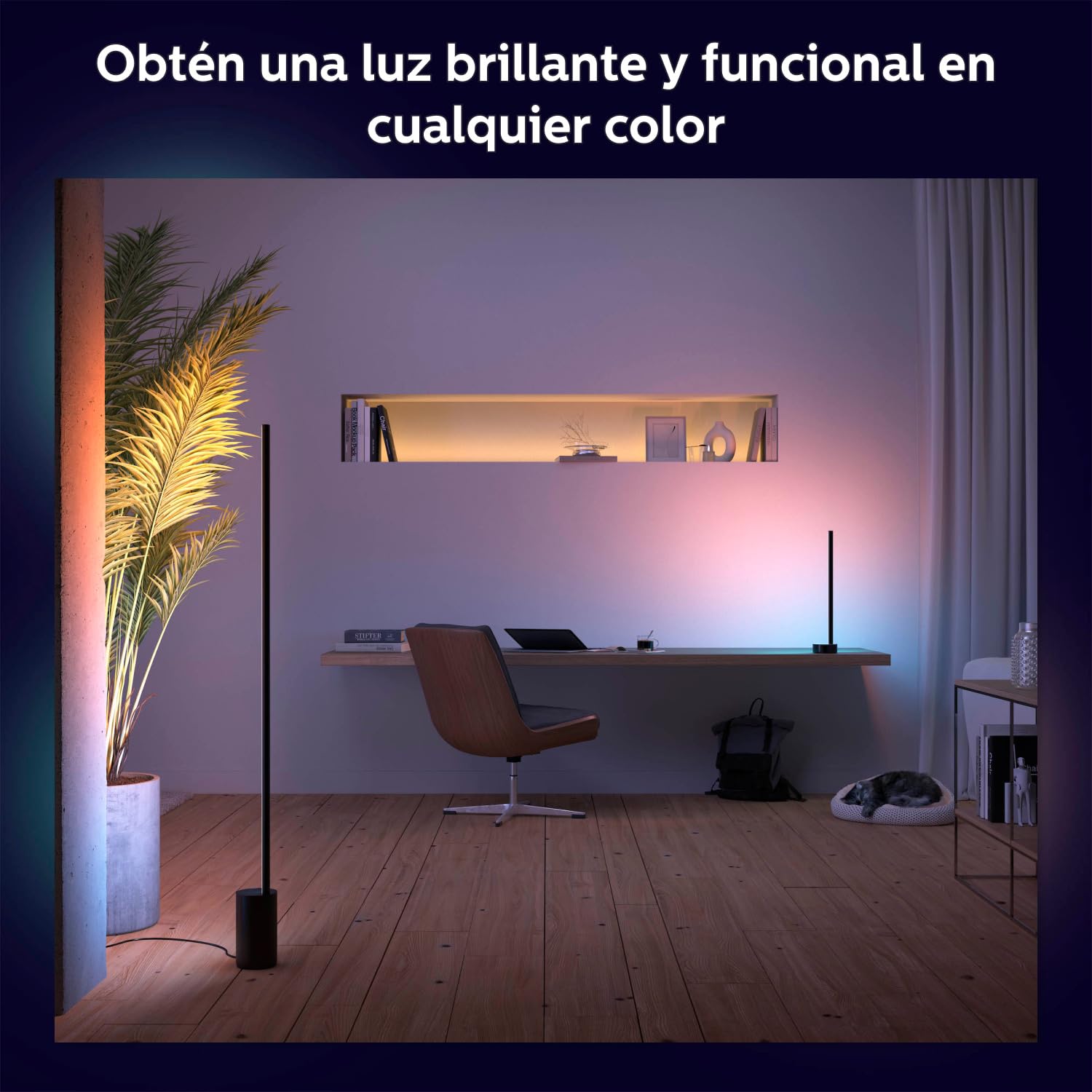 Philips Hue – Lámpara inteligente, Hue Signe, Lámpara de Pie LED Inteligente Gradient, Luz Blanca y Luces de Colores, Sistema de Iluminación con Tira Led Compatible con Alexa y Google Home,Color Negro