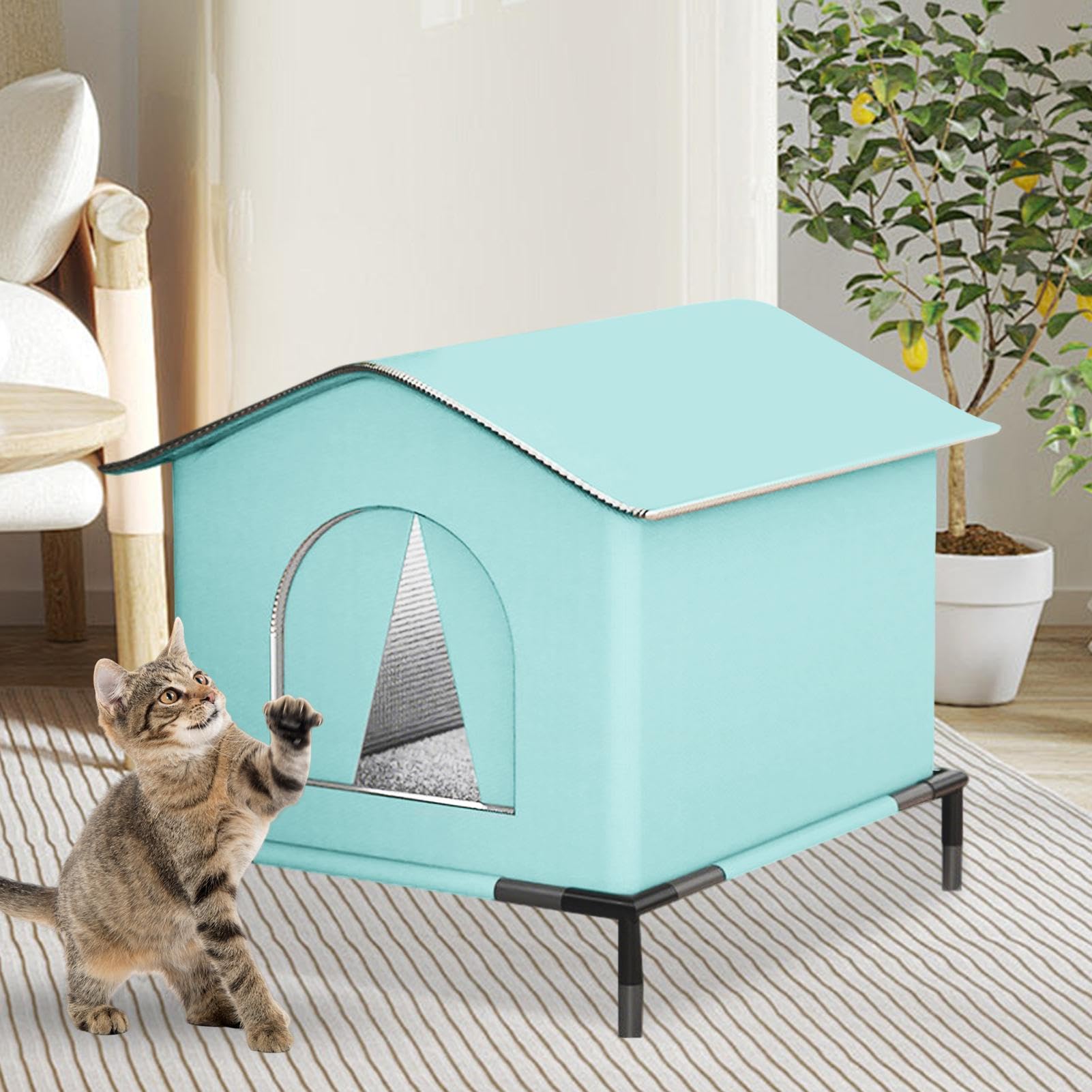 Cuccia per gatti da esterno impermeabile, cuccia chiusa per animali domestici con base rialzata, rifugio per animali con isolamento termico per giardino invernale