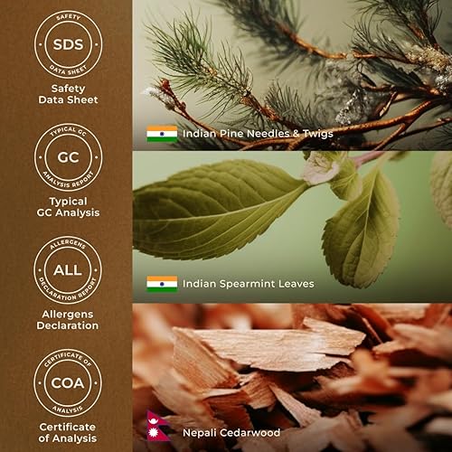 Miniatura 6 de Gya Labs Mezcla de aceites esenciales de árbol de Navidad para difusor, aceites esenciales de Navidad para aromaterapia, vacaciones y bricolaje,