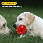 VITEVER 3.5” Squeaky Dog Toy Balls (6 Colors) Puppy Chew Toys for Teething, BPA Free Non-Toxic, Spikey Dog Balls for Medium, Large & Small Dogs, Durable Toys for Aggressive Chewers