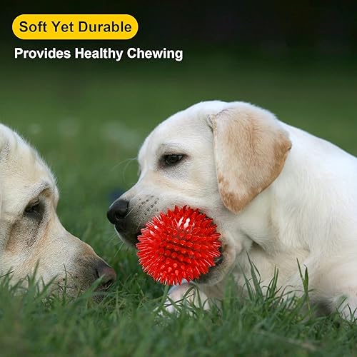 VITEVER 8 Colors 2.5” Squeaky Dog Toy Balls for Small Medium Dogs, Puppy Chew Toys for Teething, Spiky Balls for Small Dogs, Durable Toys for Teeth Cleaning and Training - Safe, BPA Free(Medium Set of 6)