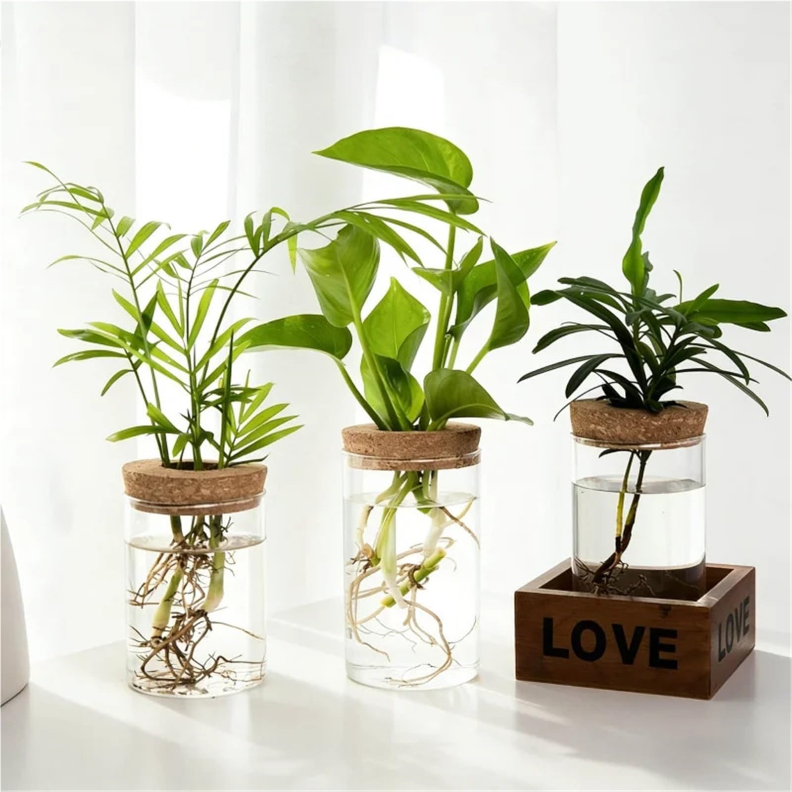 Vase Hydroponique Verre Verre Transparent hydroponique Vase1-2Home Bureau Plante Verte enracinement conteneur décoration Ornement(6.5X12CM 2PCS)