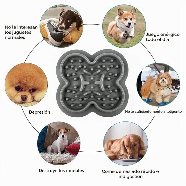 Foto 8 de 8 de Comedero Perro Antivoracidad, Silicona Comedero Antivoracidad Perro, Comedero Gato Antivoracidad