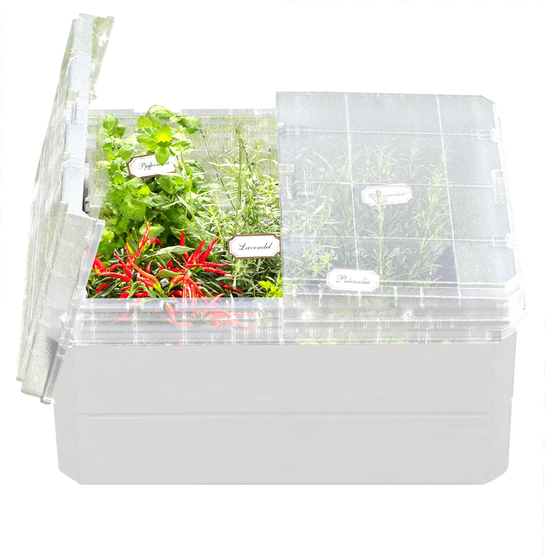 GARANTIA Ergo Quadro M módulo de Mini Invernadero Compatible con Sistemas | de huerto Elevado Ergo de GARANTIA