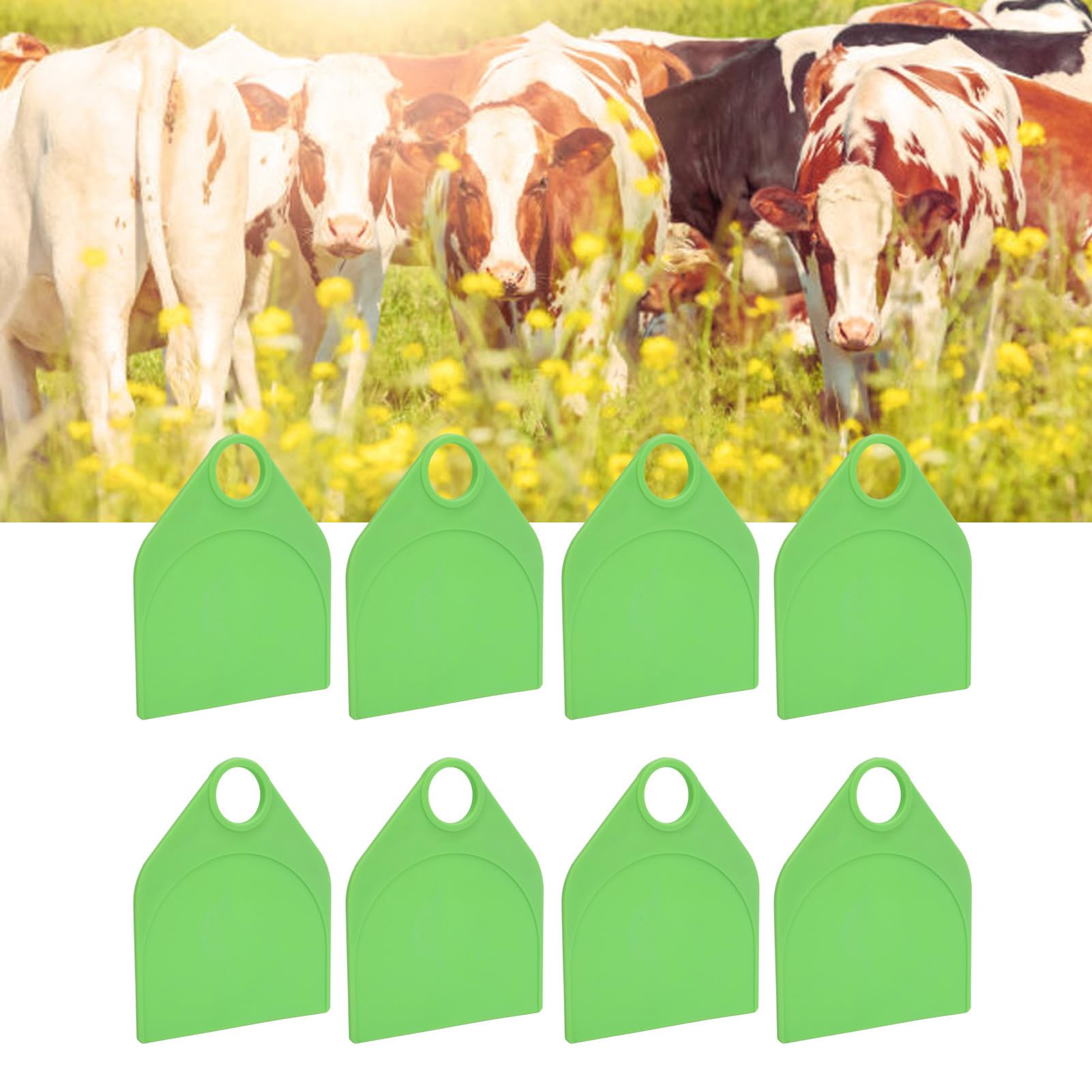 Dioche TPU Livestock Neck, Livestock Neck Tag - Highly Recognizable Material Vivid Color, Easy to Customize with Blank for Farm Management, Diochez98h5o2pn3