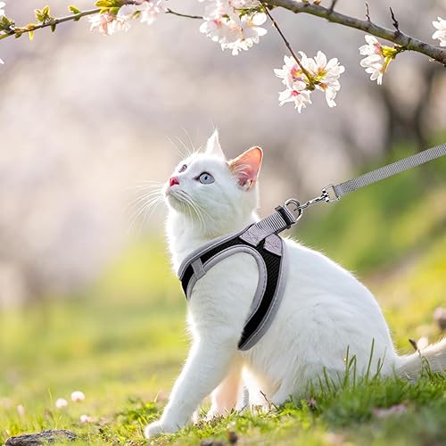 Miniatura 6 de SCENEREAL Juego de arnés y correa para gatos, a prueba de escape, arnés ajustable de malla de aire suave para gatitos para niñas y niños, gatos