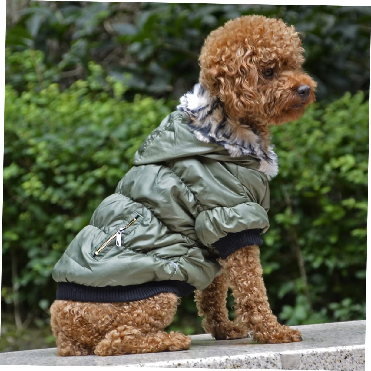 SUPVOX 2pièces Manteau pour Chien Épais Réversible Vert XS pour Garder Animal Chaud Et Hiver