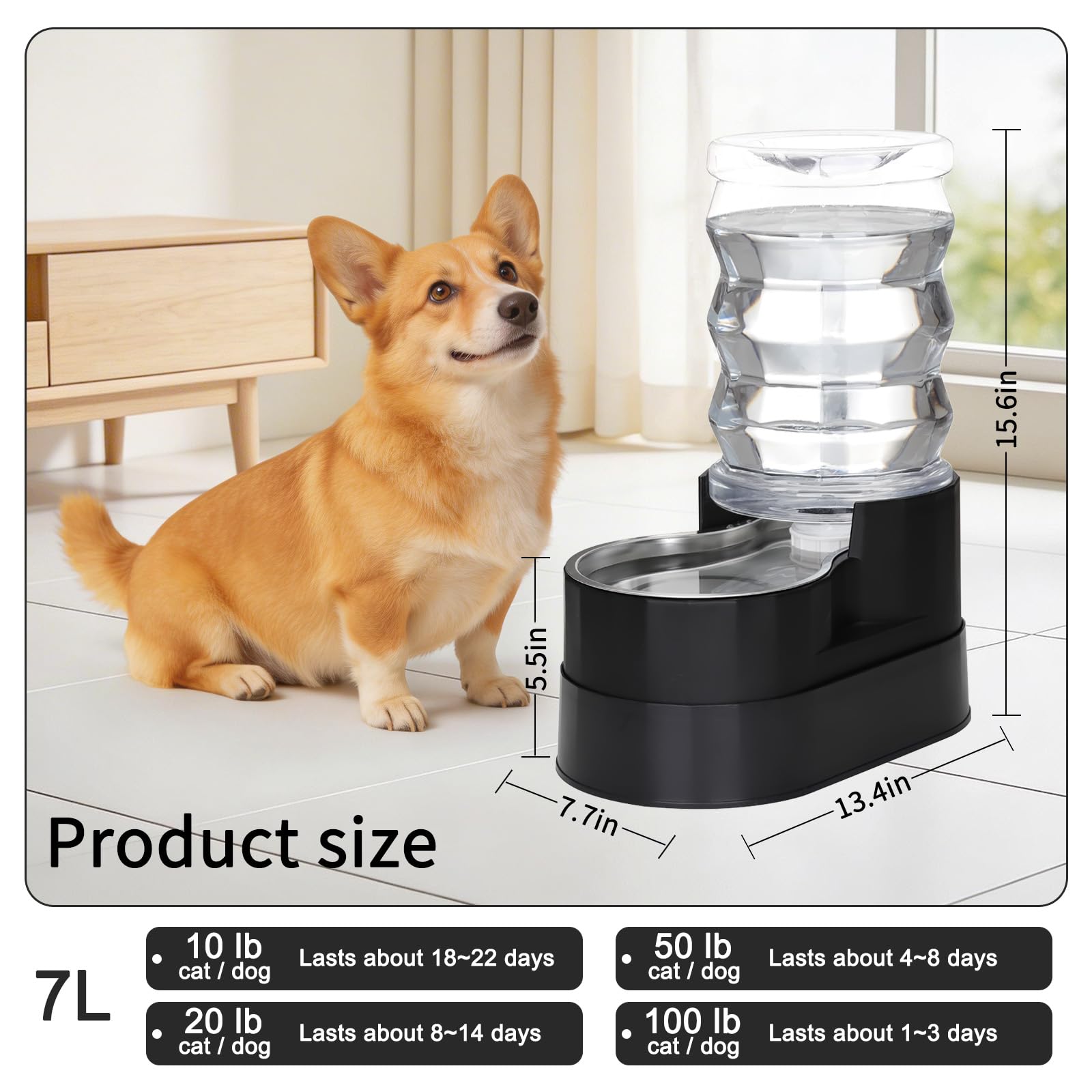 RIZZARI Mangiatoia per acqua in acciaio inox: 7 l, nero, grande capacità e dispenser automatico a gravità, design anti-fuoriuscita per cani anziani con problemi alla colonna vertebrale, uso in garage