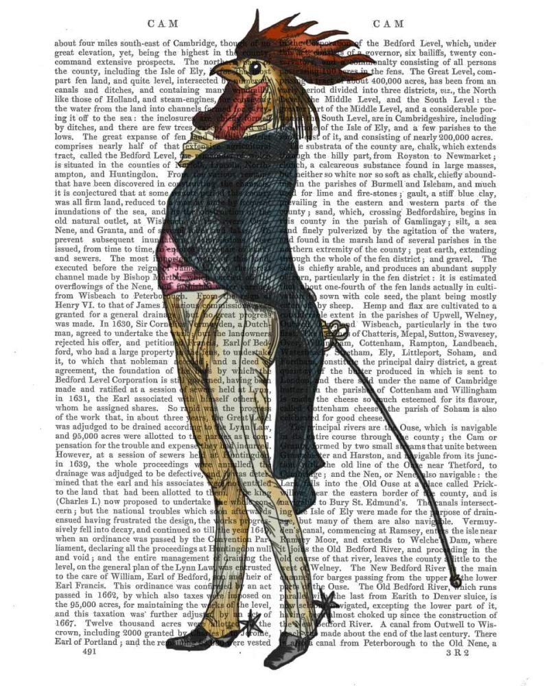 IMPRESSION d'art sur TOILE encadré dans CAISSE AMERICAINE Cockerel avec éperons Fab Funky Capricieux Portrait sur toile 100% coton affiche encadré prêt à accroc cm_50_X_40