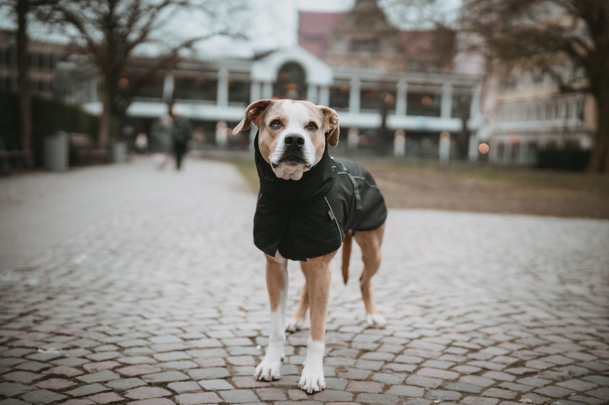 HUNTER Hundemantel NORDBY, Farbe: schwarz, wasserabweisend, warm gefüttert, reflektierend, ideal für Outdoor-Abenteuer, schützt vor Kälte & Nässe, maschinenwaschbar, Größe: 45