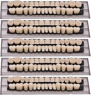 140 PCS Acrylic Resin Teeth Dental Denture Dental Synthetic Resin Teeth Denture Halloween Horror Prop 23 A2 ((28 Pcs/5 Set))