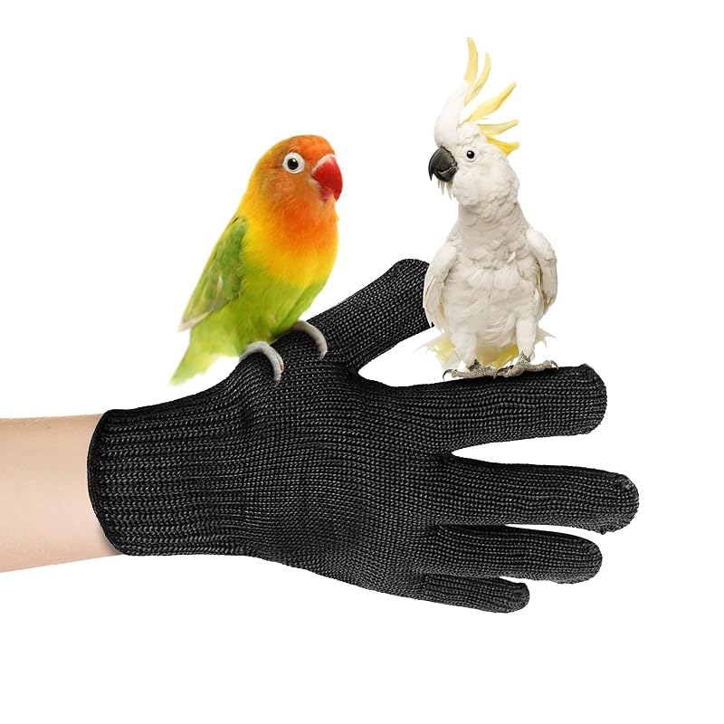 Luvas de Proteção para Manejo e Treinamento de Aves Tezuyok, Tamanho Médio, Pretas, Pacote com 2
