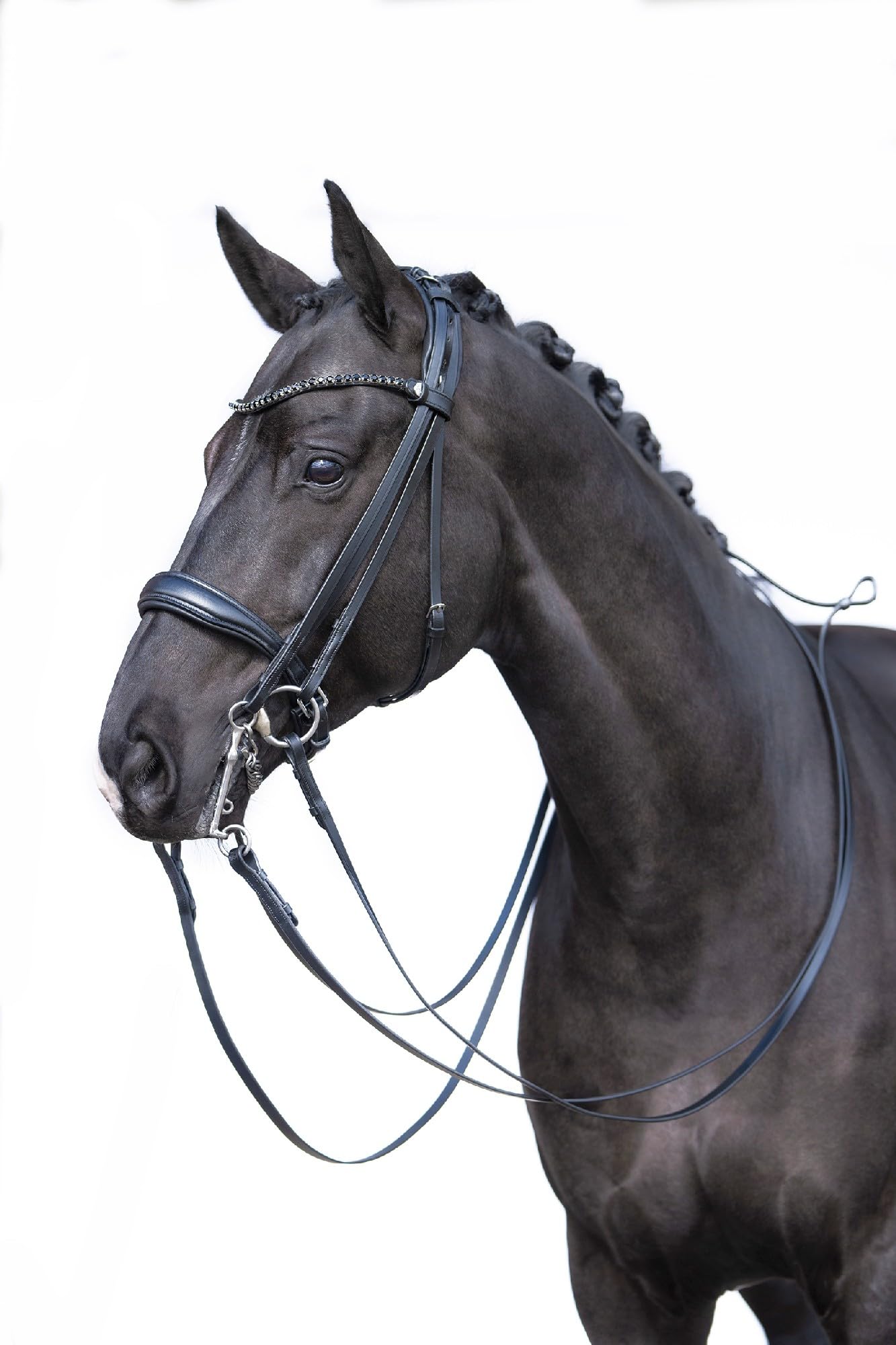HKM Grace Bridle Black Pony - Image 2