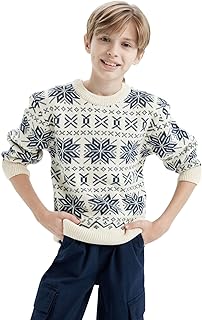 DeFacto Erkek Çocuk Regular Fit Bisiklet Yaka Desenli Triko Kazak