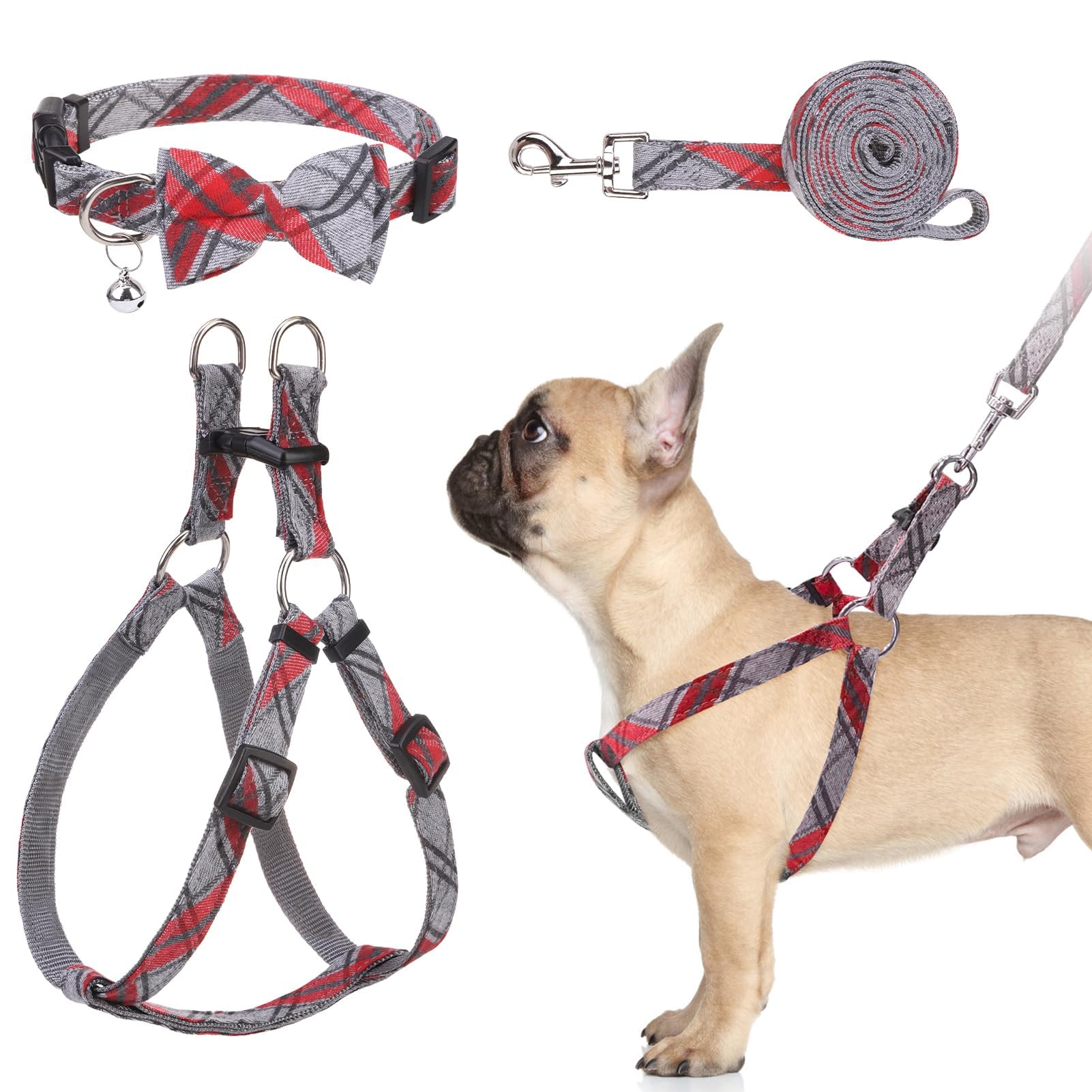 Ensemble harnais et laisse anti-traction réglable classique pour éducation canine tout gabarit