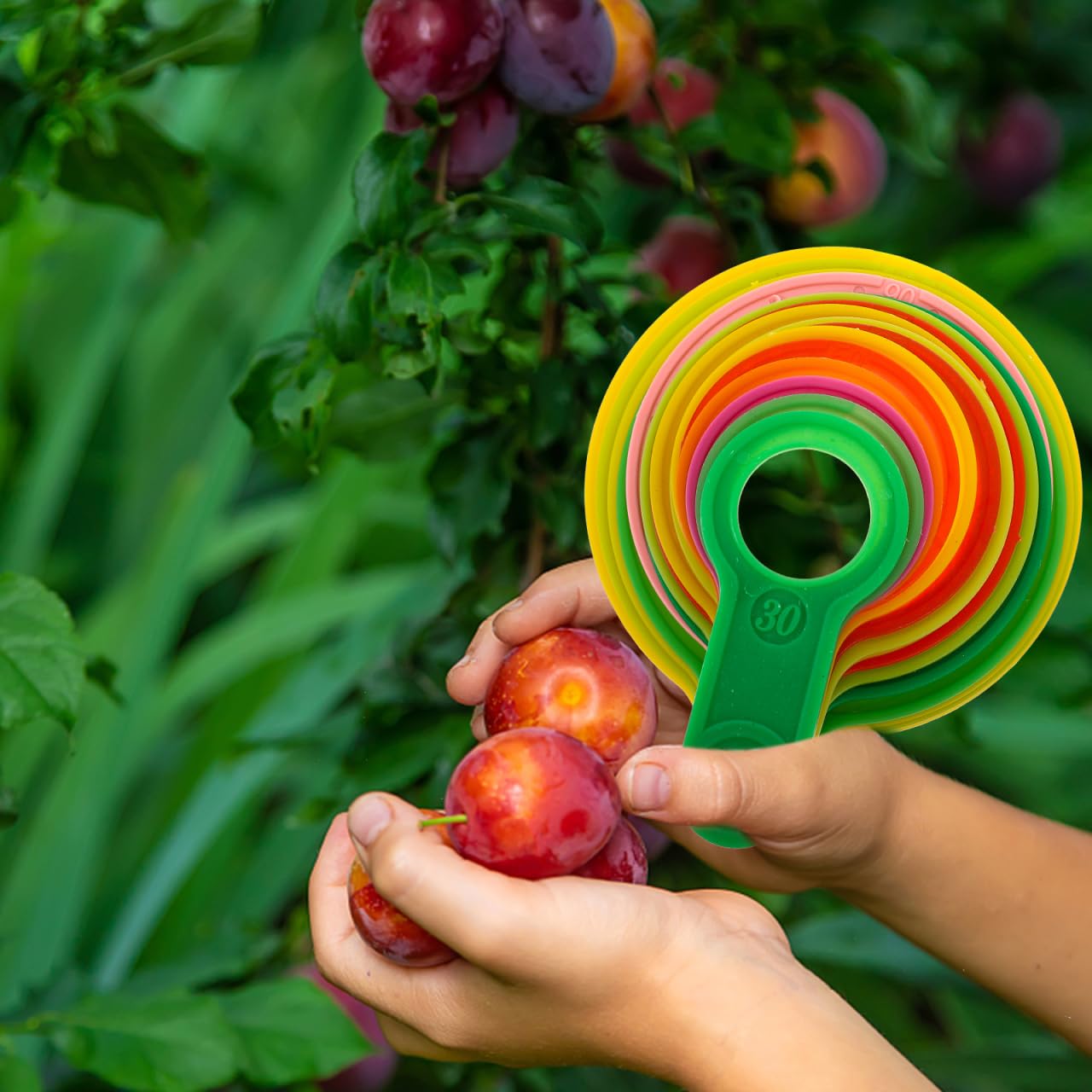 Misuratore Di Diametro Per Calibro Di Misurazione Anello Agrumi Plastica Arancione