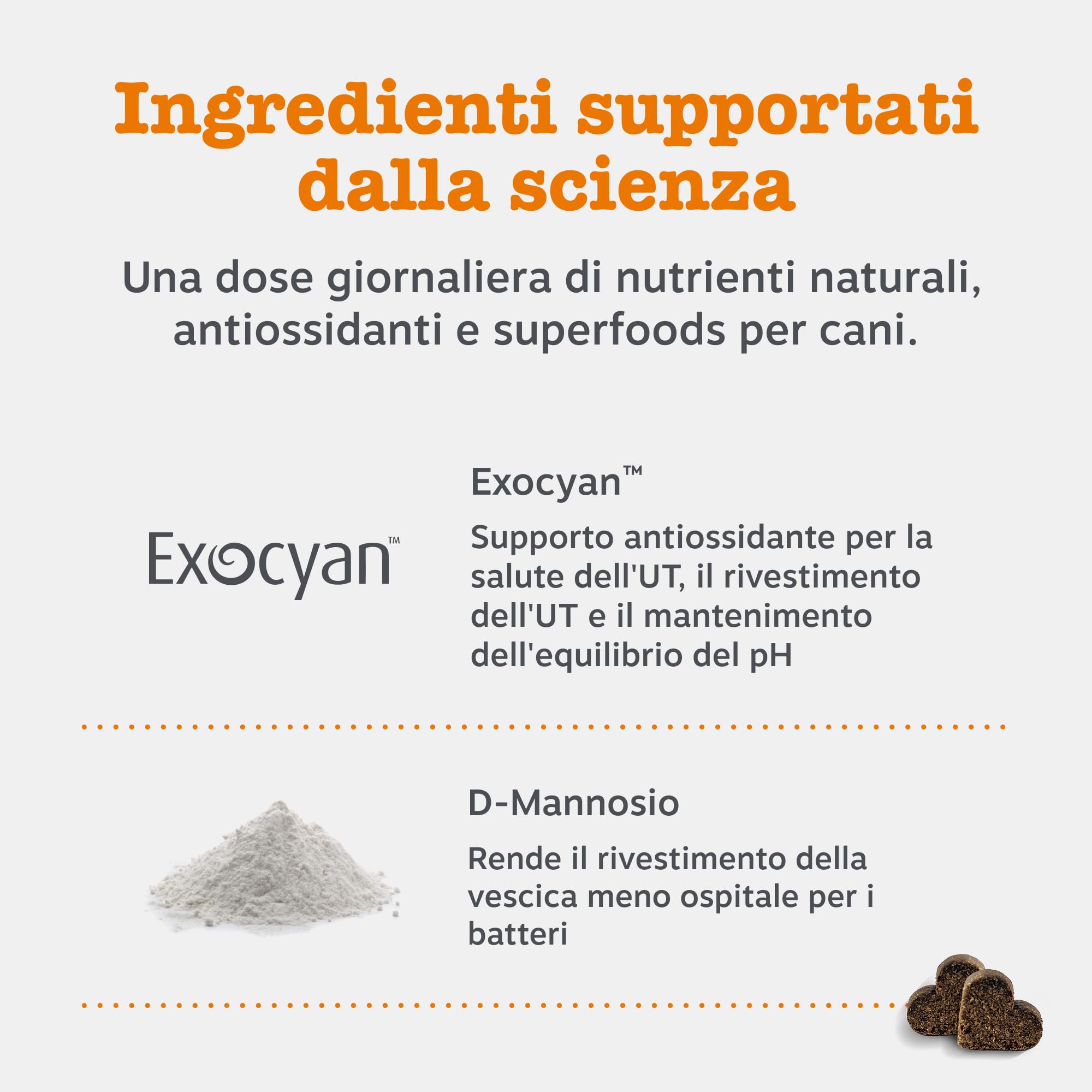 Zesty Paws Cranberry Urinary Care | Supporto delle Vie Urinarie | Integratori per Cani | D-mannosio, vitamina B6 e Exocyan | Alimento Complementare per Cani Adulti | Gusto Tacchino | 90 Pezzi