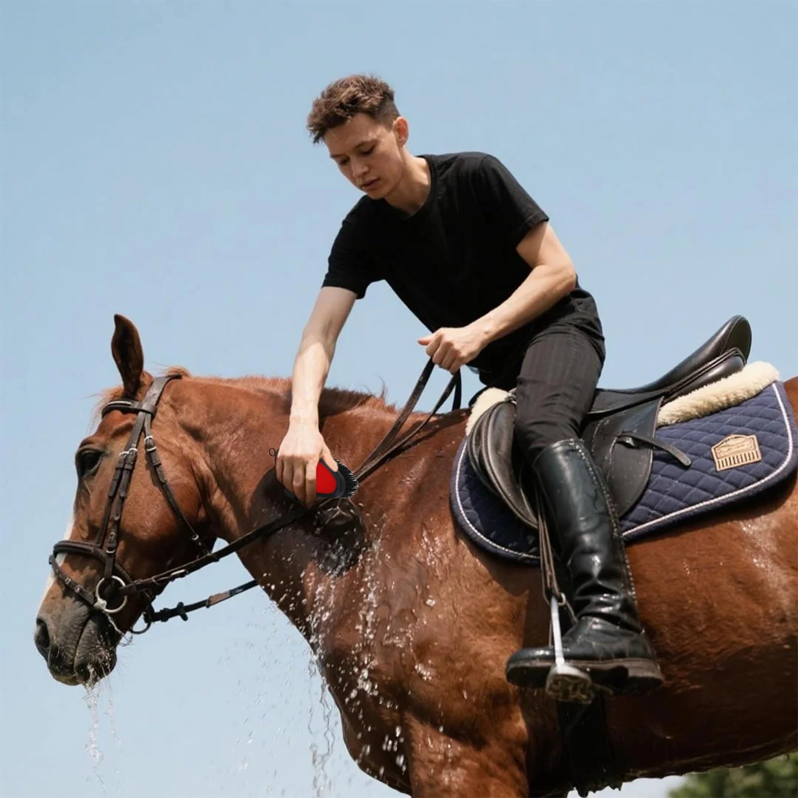 Juego de aseo para caballos: kit completo de 9 piezas con cepillos, peines y raspadores de sudor para un cuidado integral