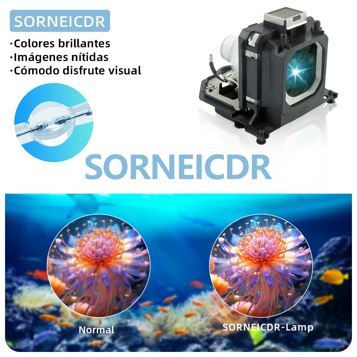 POA-LMP114 Lampada proiettore di ricambio con alloggiamento per Sanyo PLV-1080HD PLV-Z2000 PLV-Z3000 PLV-Z4000 PLV-Z700 PLV-Z800 Videoproiettore