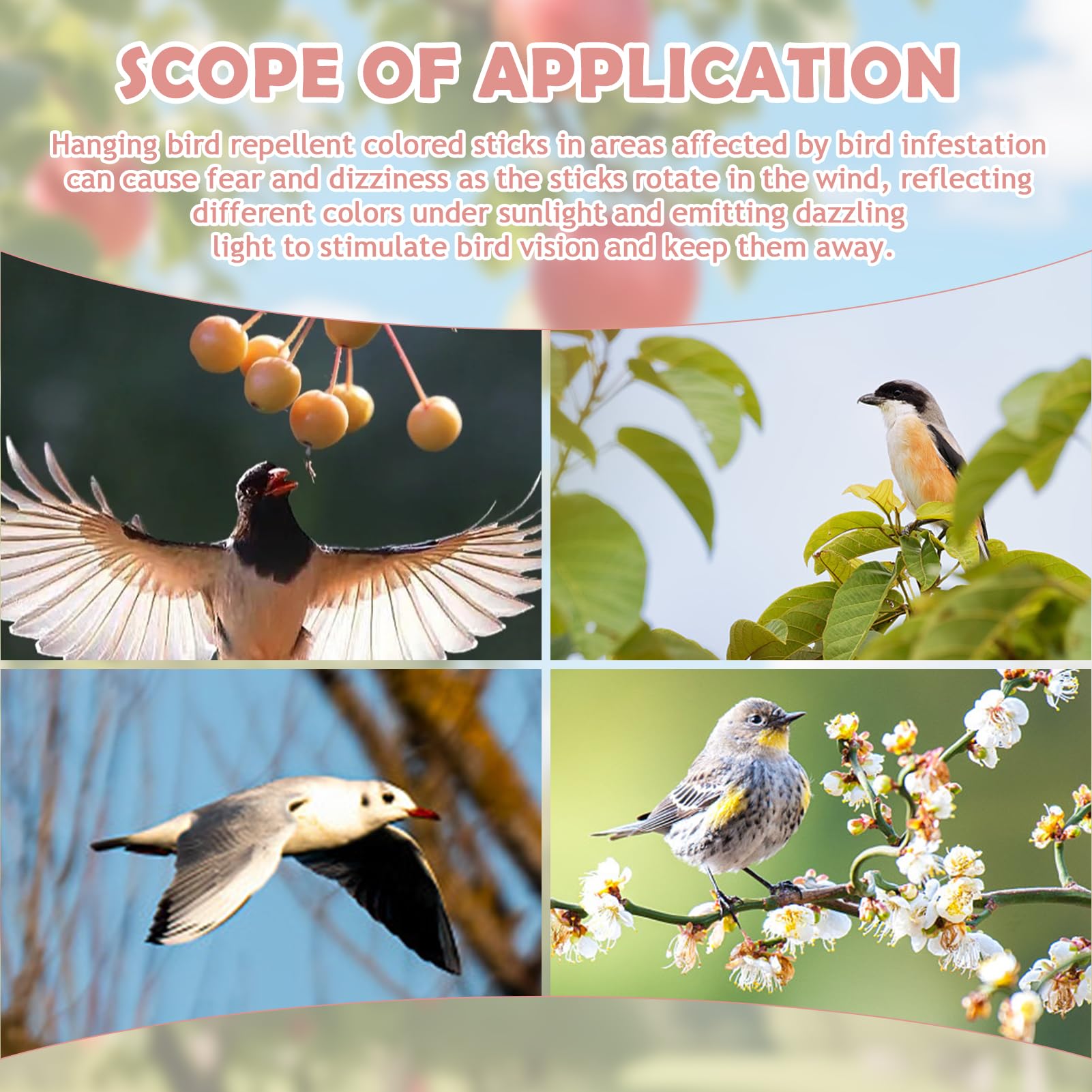 12 Unidades de ahuyentador de pájaros Reflectante - Espirales Reflectantes con Rotación 360° - Método Anti Pájaros Humano y Ecológico para Jardín, Balcón, Árboles Frutales y Huerto - Protección