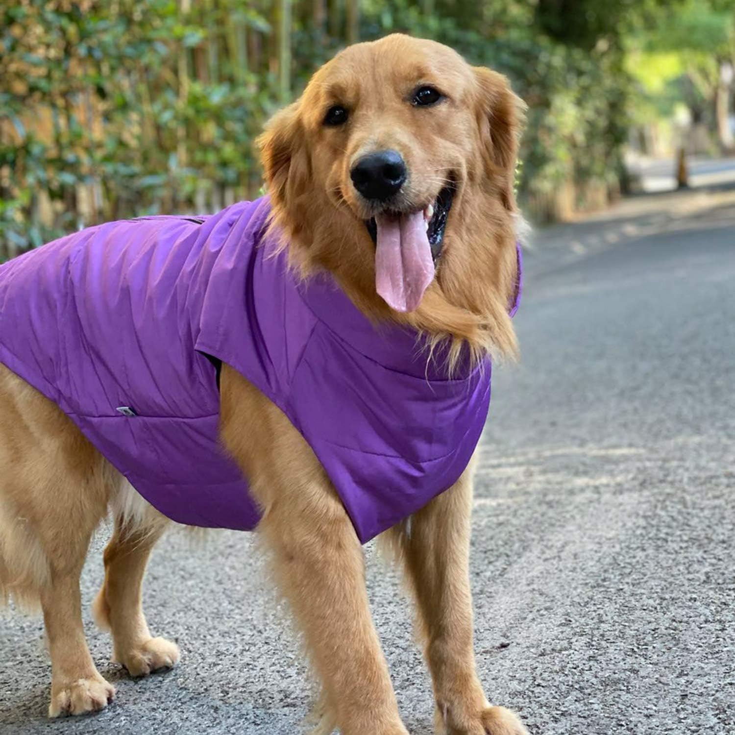 Dog Winter Vest with Cotton Lining - Image 2