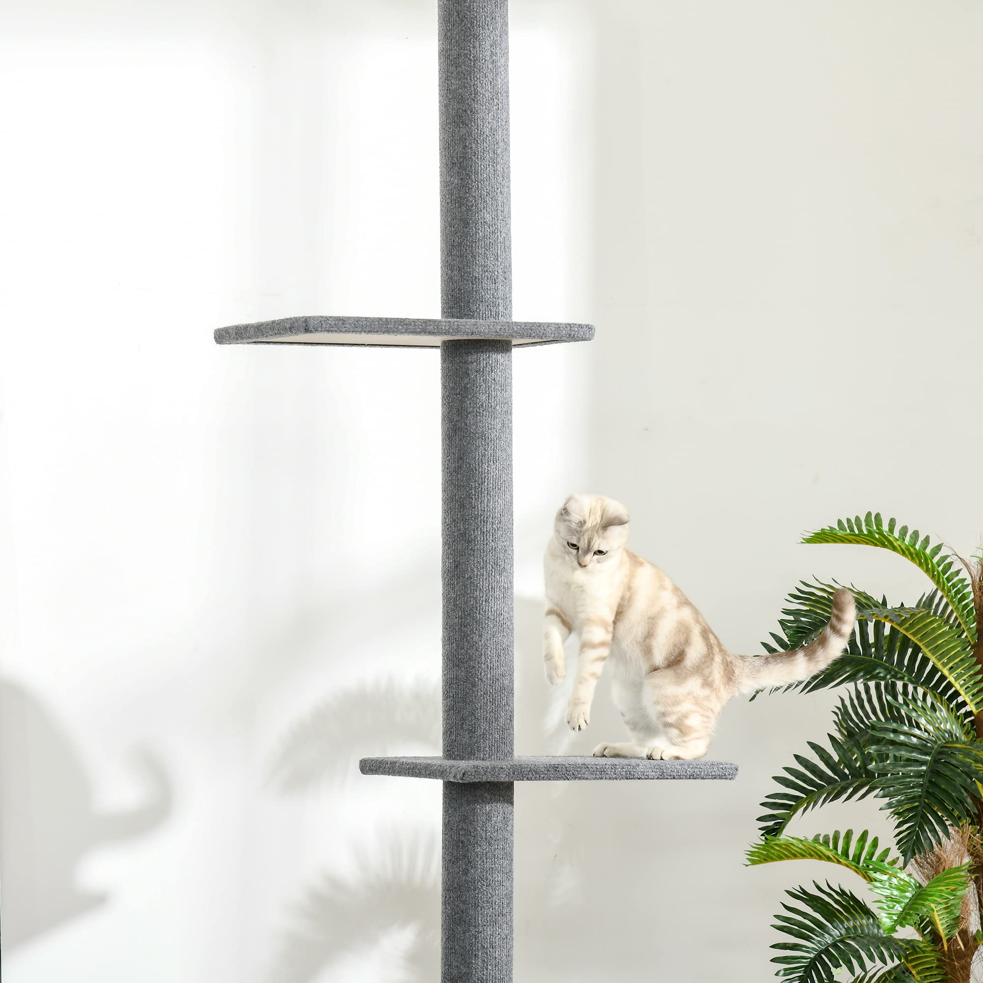 PawHut Arbre à Chat du Sol au Plafond dim. 43L x 27I x 228-260H cm Gris