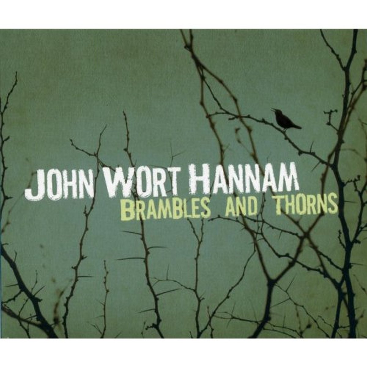 Brambles and Thorns [Audio CD] HANNAM,JOHN WORT
