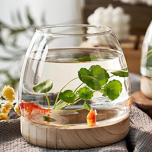 Miniatura 3 de Aoderun Florero de cristal para decoración del hogar, florero transparente con base de madera, elegante jarrón de cristal, centro de mesa, cuenco de